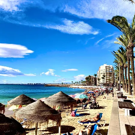 Bruno Sea View 公寓 托雷维耶哈