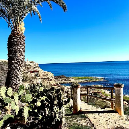 Bruno Sea View * 托雷维耶哈