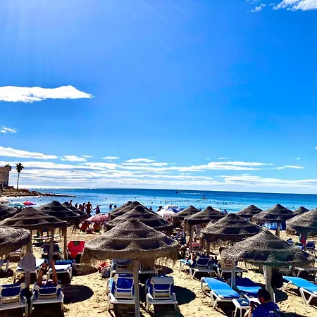 Bruno Sea View 托雷维耶哈