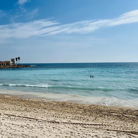 Bruno Sea View 托雷维耶哈